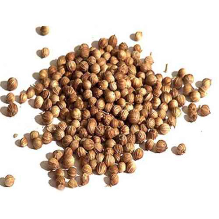 Кориандр целый